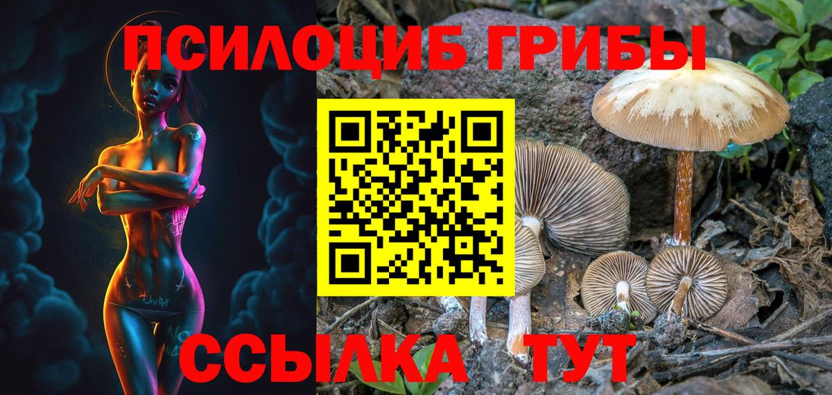 Галлюциногенные грибы GOLDEN TEACHER  Псилоцибиновые грибы ЛСД  Вход с VPN  Ковров 